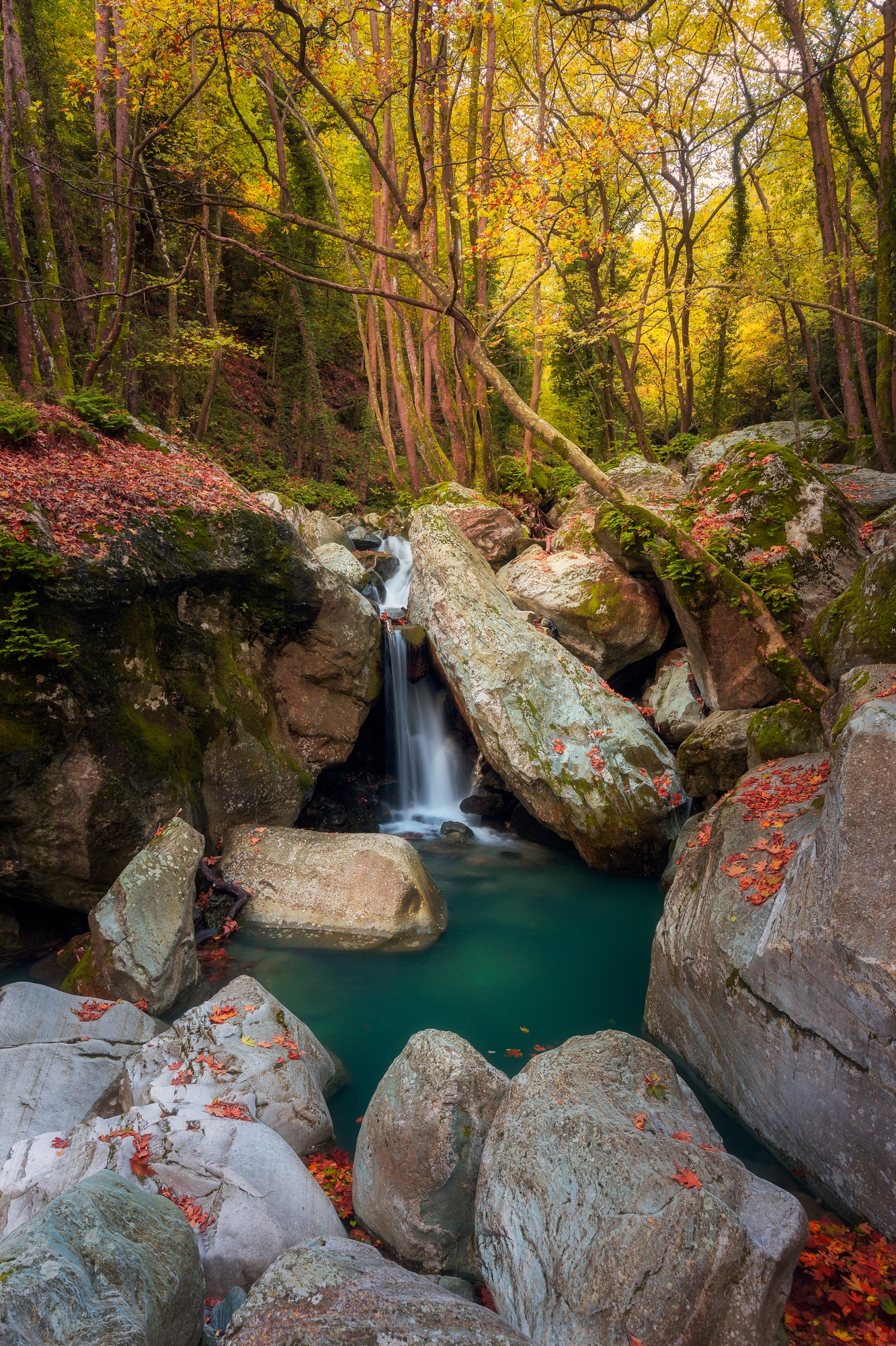 waterfall in the forest 3